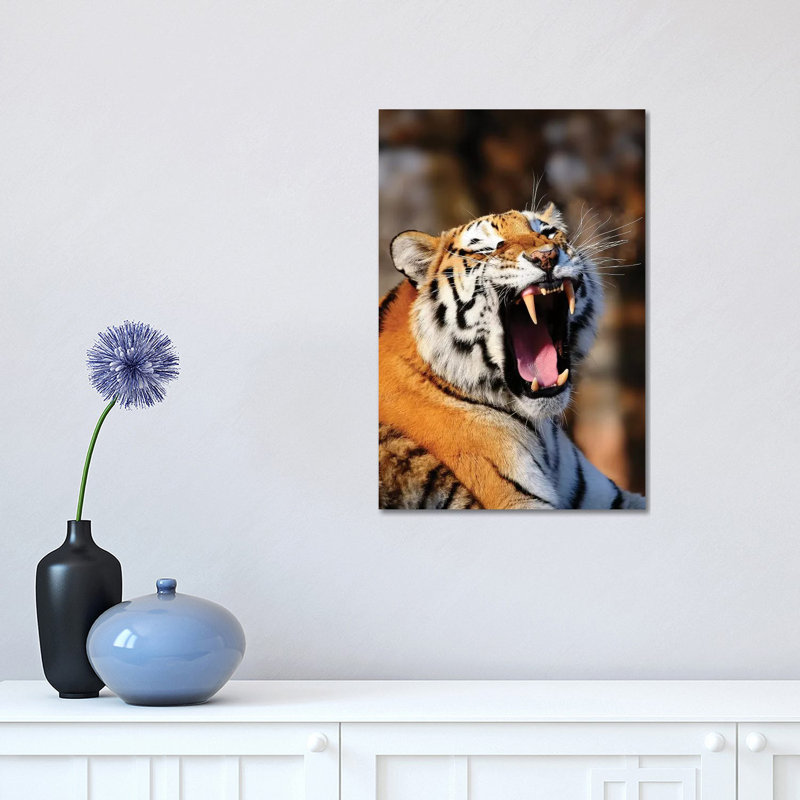 Tiger XII by Goran Anastasovski - Wrapped Canvas Print, 30.48 cm H x 45.72 cm W