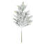 Snowy Cedar Spray-1411585855