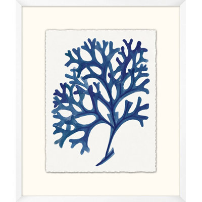 Indigo Sea Life Indigo Sea Life 1 - Single Picture Frame Painting