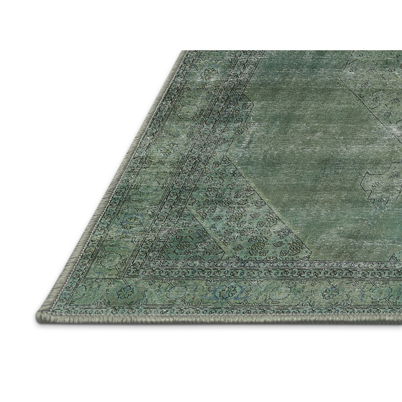 Ciann Oriental Indoor Rug, Runner 2' x 5'