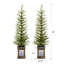 Ensemble de 2 pièces de sapin de Noël artificiel pré-éclairé de 4 pi, arbre de Noël en matériau PE de haute qualité avec support en pot, branches complètes réalistes faciles à assembler pour le porche de la porte d'entrée
