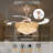 Faruq 42'' Ceiling Fan with LED Lights