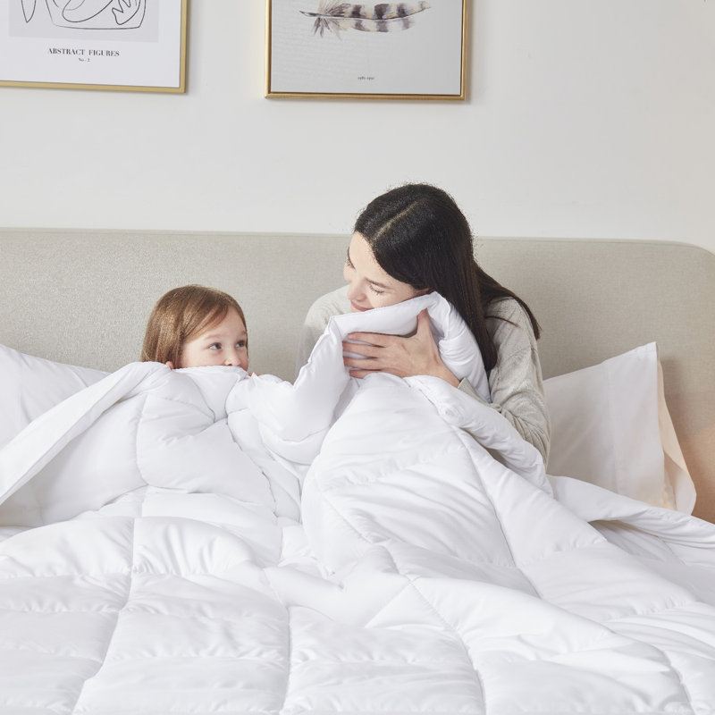 White Queen Microfiber All-Season Duvet Insert