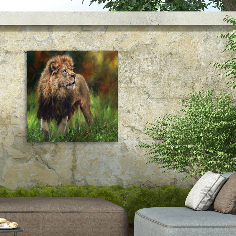 Toile pleine longueur David, H 14 po x l 14 po