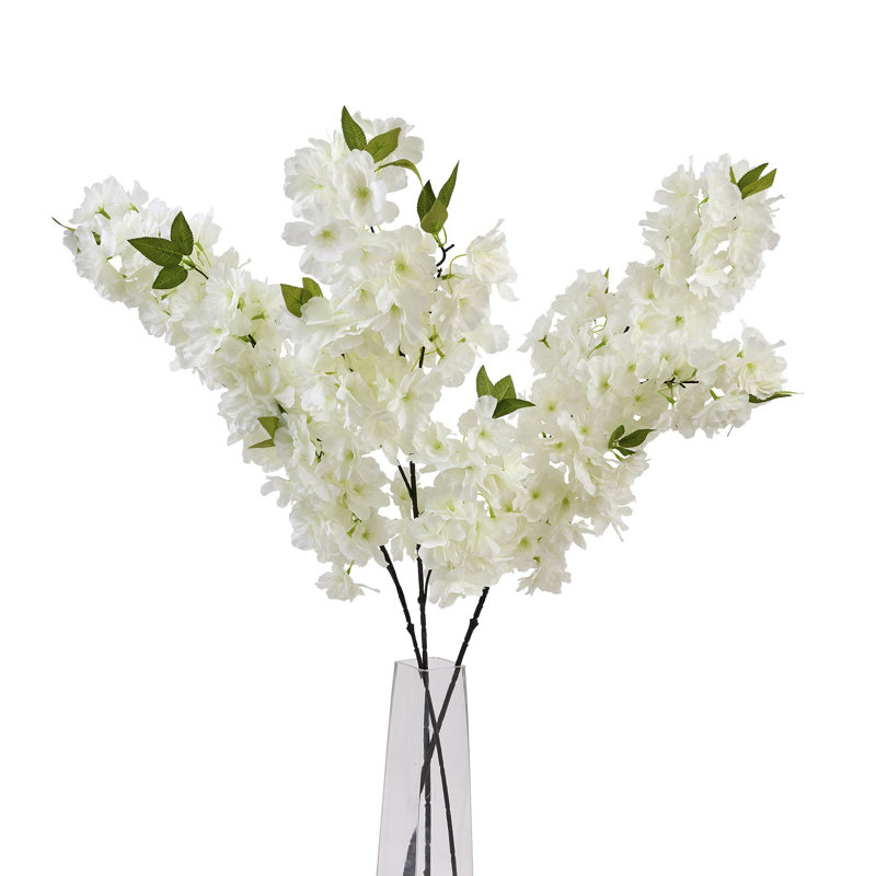 Anastasija Arrangement