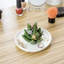 Ceramic Dish Ring Holder