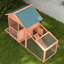 Abrams Weather Resistant Guinea pig Hutch