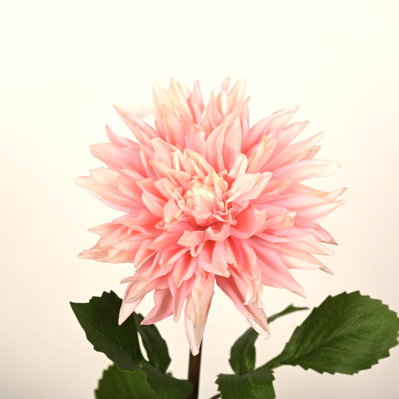 Arrangement floral 28 po Dahlia, Rose