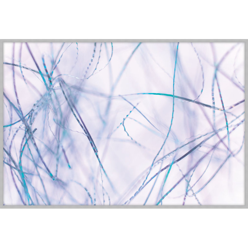 Violet Fibers 1 Print, 15.25" H x 21.25" W