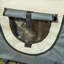 Steel Collapsible Soft-Sided Crate with 1 Door-167104295-167104294