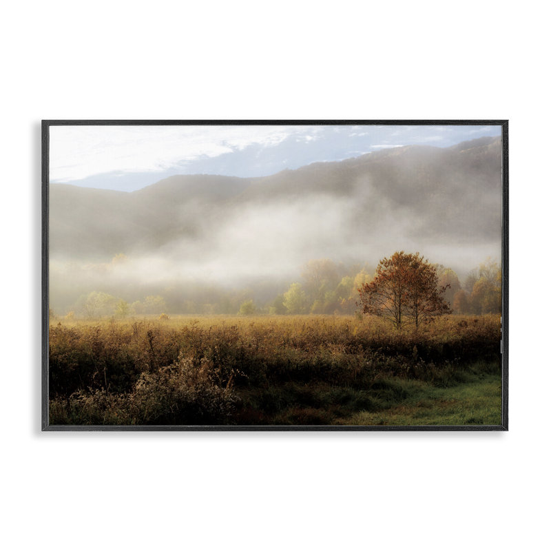Giclée encadrée par Lifting brouillard, conception par D. Burt, H 12 po x l 18 po, Giclée encadrée noir minuit