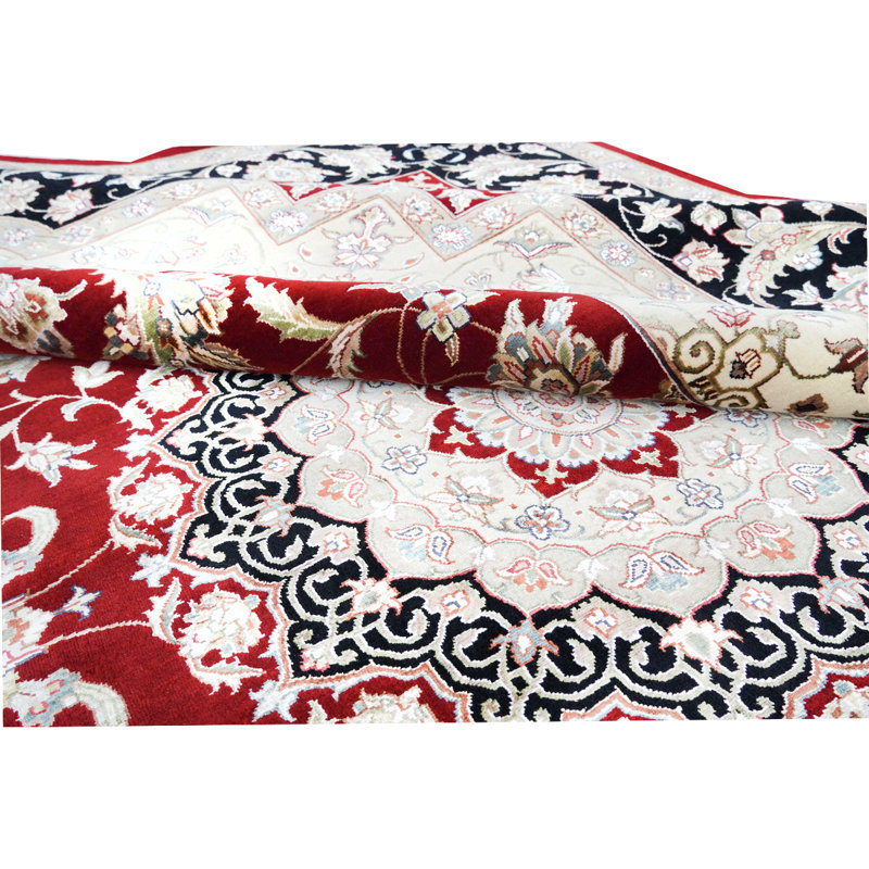 Oriental Area Rug, Rectangle 6' x 9'