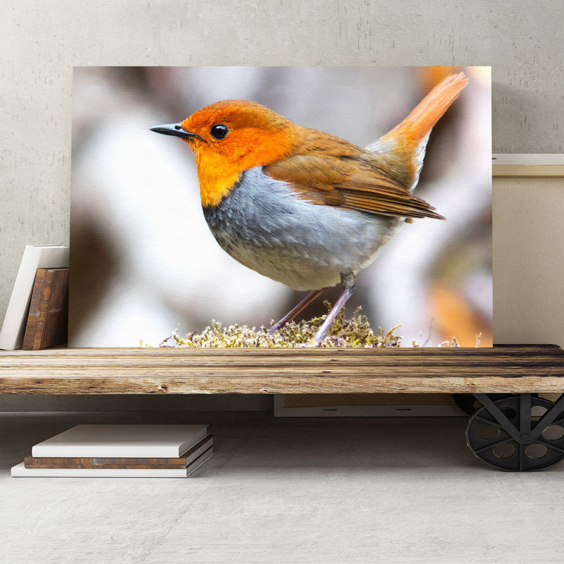 Wrapped Canvas Print, 40cm H x 60cm W