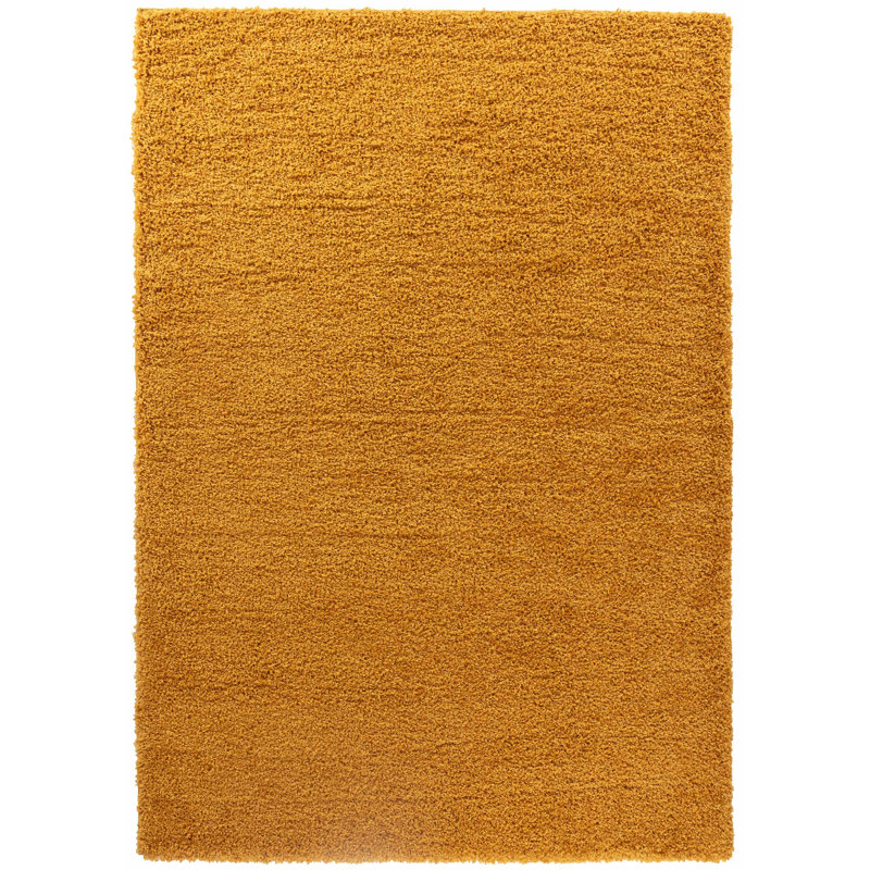 Esterly Gold Shaggy Rug, Rectangle 60 x 220cm