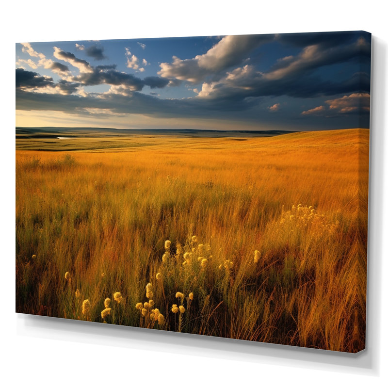 Calming Meadow I, reproduction d'art sur toile, H 24 po x l 32 po, Toile tendue