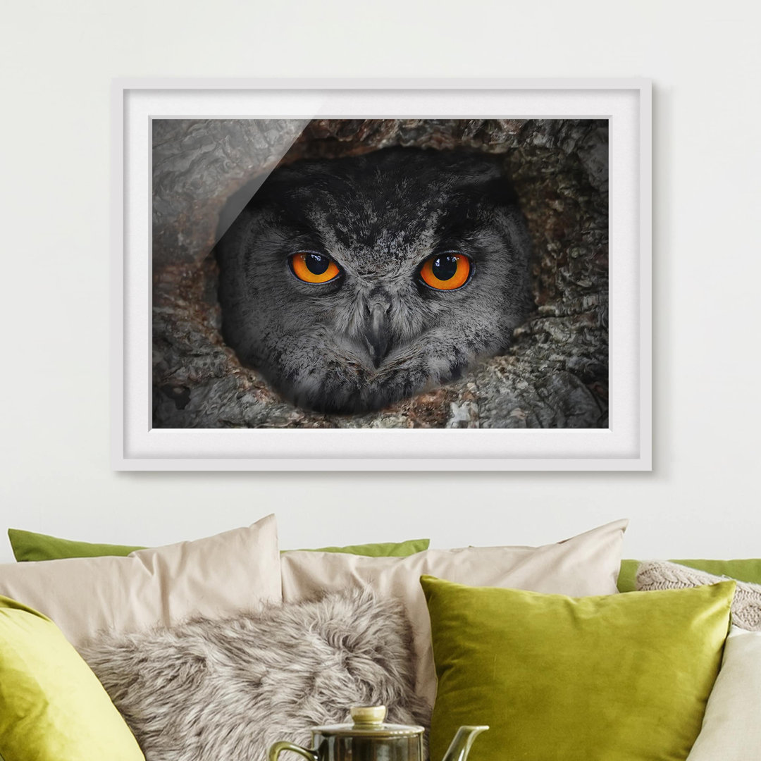 Gerahmter Fotodruck Watching Owl