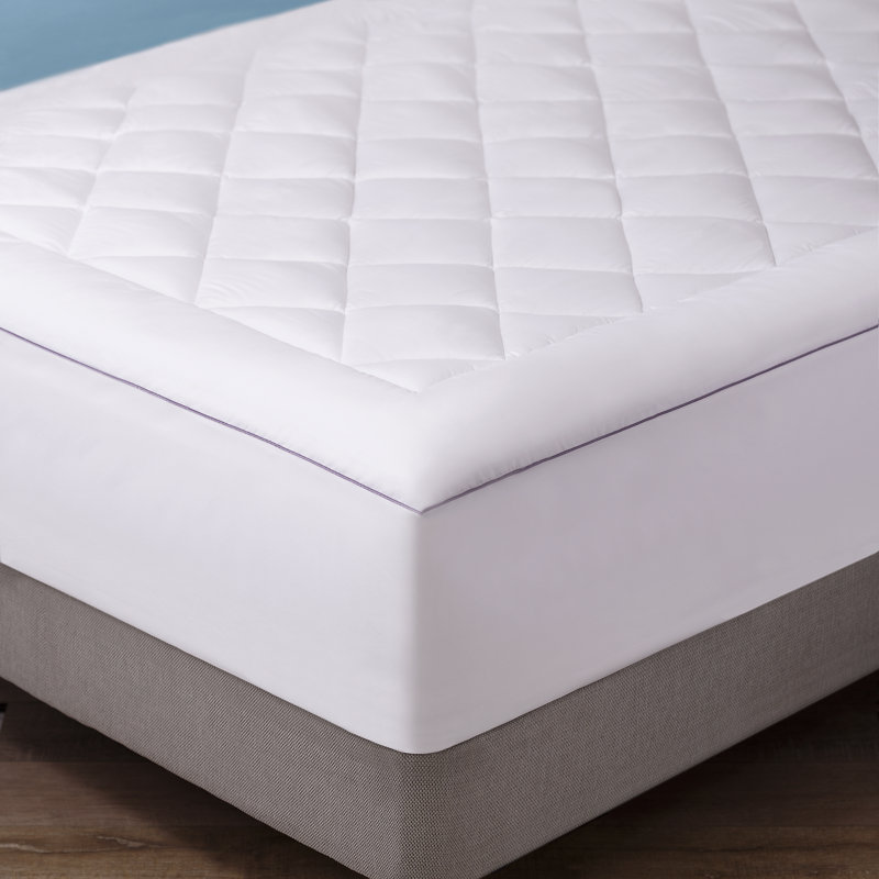 Munoz 1 in. Cotton Mattress Pad, California King