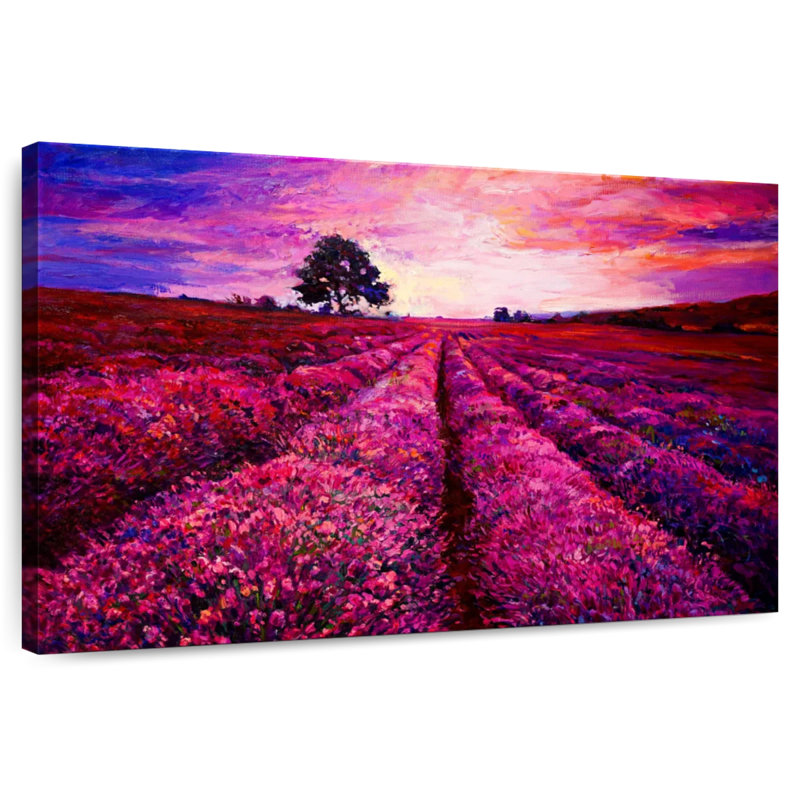 Pink Lavender Field