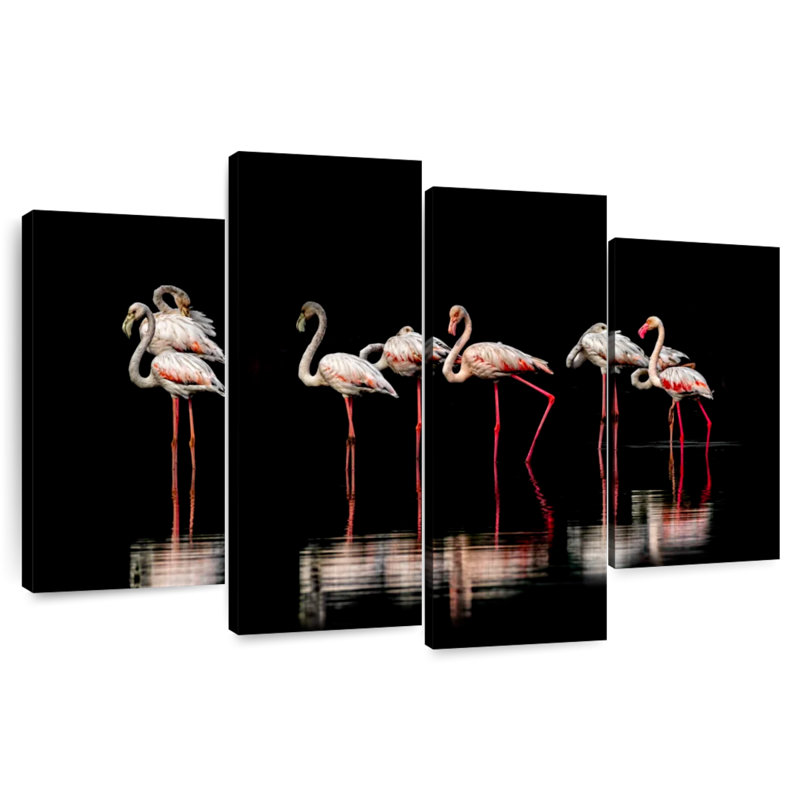 Flamants roses Brampt dans l'obscurité, H 54 po x l 84 po