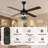  52" Black Farmhouse Caged Ceiling Fan with 4-Light and Remote 6-speed Reversible Quiet DC Motor Modern Fan Light for Living Room
