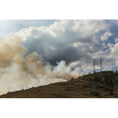 Bushfire Near Esk by Matt Palmer - Wrapped Canvas Print