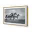 Famille de chevaux sauvages-1879856298-1886441145-1886441170