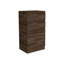 Commode Asturias en noyer foncé avec boîte à bijoux et miroir - Commode de rangement pour chambre à coucher avec armoire à une porte