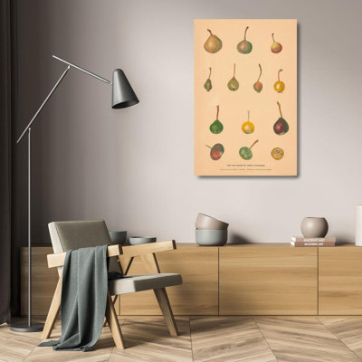 "The Wild Pears of North Caucasus" by  Nikolai Ivanovich Vavilov - Gallery Wrap Canvas Wall Art