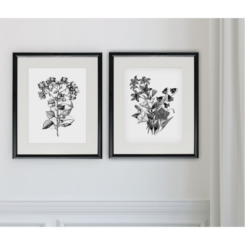 " Botanical Black And White " 2 - Pieces, Framed Print, 20" H x 16" W, Black