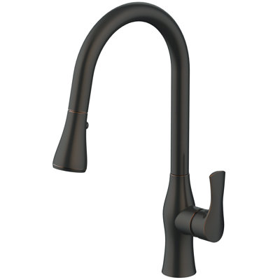 Daweier Pull Out Kitchen Faucet