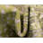 Wingate Oriental Indoor Rug
