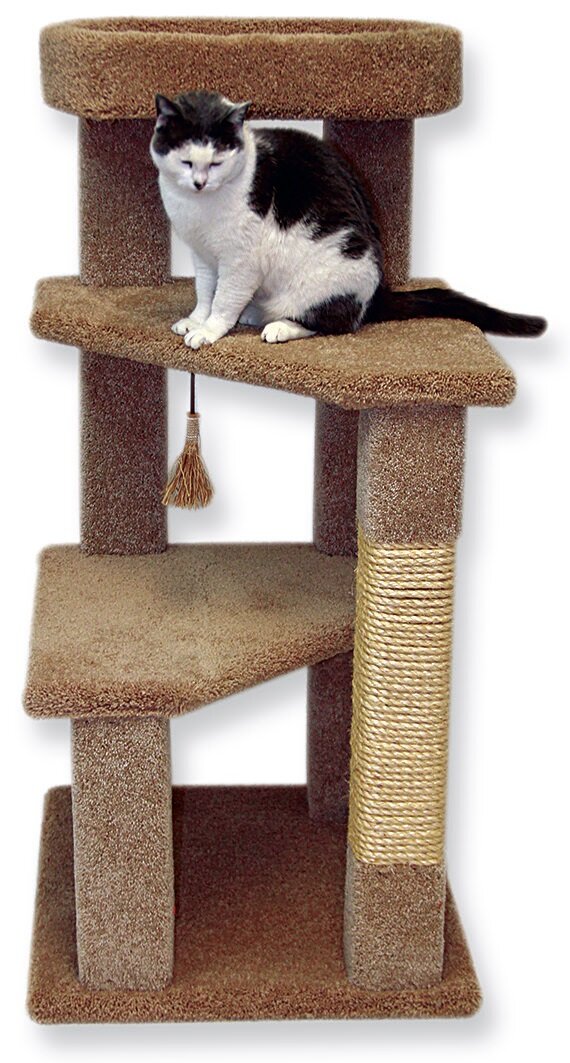 Tucker Murphy Pet 46 H Hawkesbury Cat Tree Reviews Wayfair