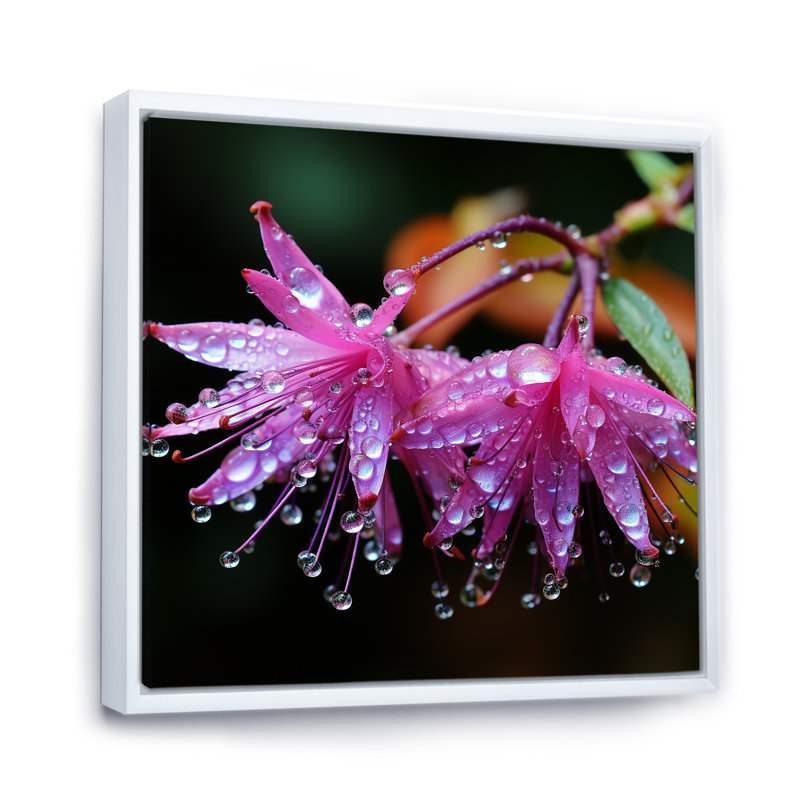 Garden Hardy Fuchsia Plants III - Fuschia, art mural, Cadre flottant blanc, H 30 po x l 30 po
