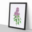 Persian Lilac Flowers by Pierre-Joseph Redoute - Picture Frame Painting Print-55582915-55582920