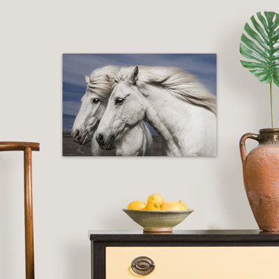 Blowing by Bragi Ingibergsson Photographic Print on Canvas