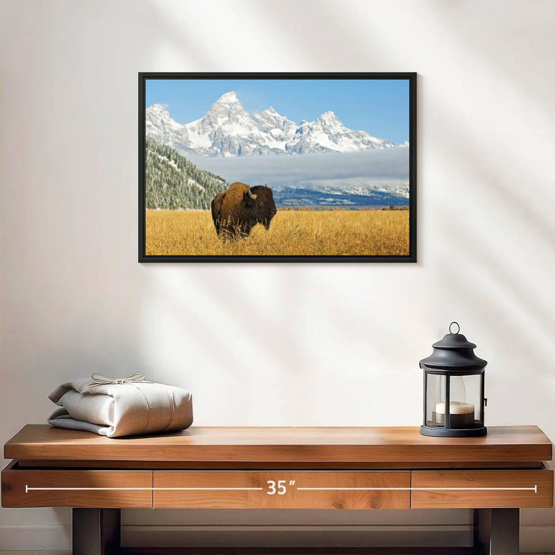 Grand Teton Bison Bull, 19 po x 13 po, Cadre flottant noir