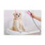 «Cute Maltese Bath», art mural sur toile-1378124747