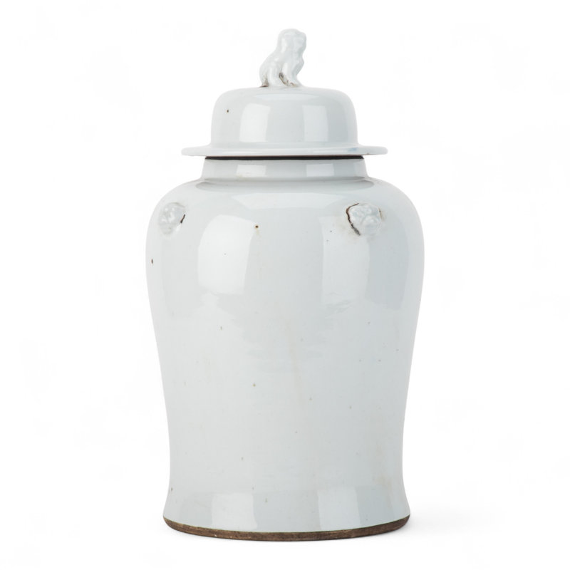 Pot de lion blanc