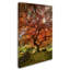 « the tree vertical », reproduction de photo sur toile tendue-31453397