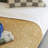 Ultimate Percale 100% Cotton Cool & Crisp Sheet Set-87793521-33005143