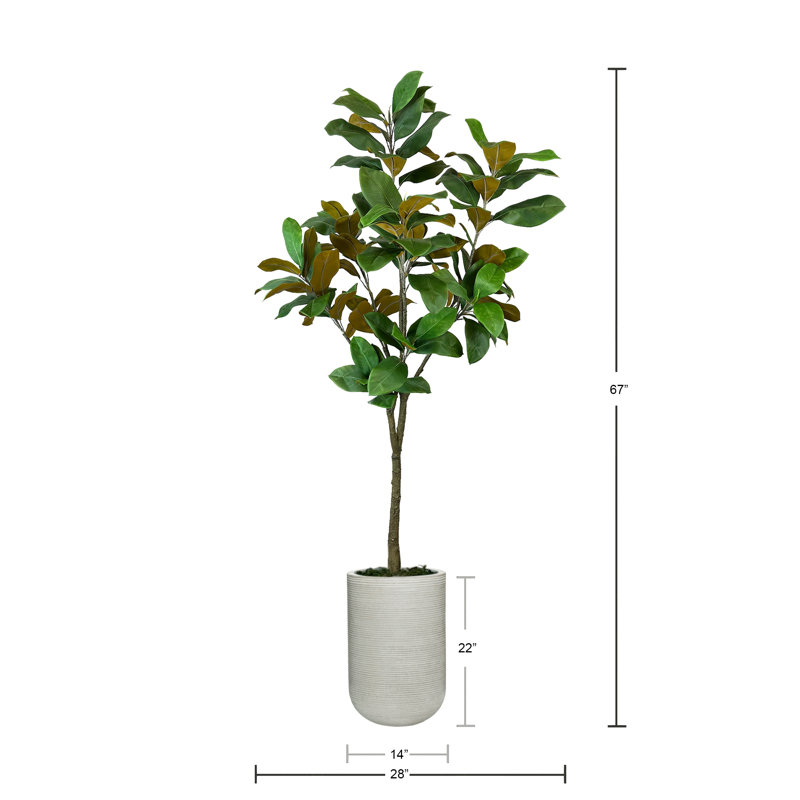 UV Rated 5.5' Magnolia Tree in Weather Resistant Fiberstone Pot