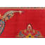 Tapis oriental rouge unique 4X9 One-of-a-Kind