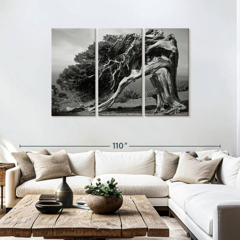 Harnek Junipers Of El Hierro, 48" H x 74" W