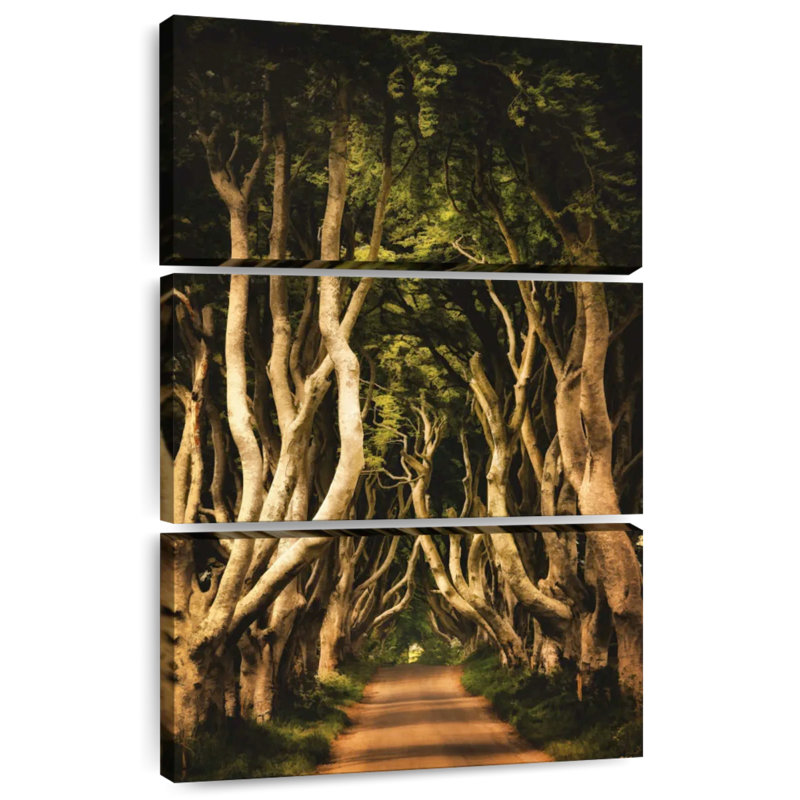 Harnek Ireland's Dark Hedges, H 32 po x l 20 po