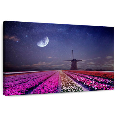Alvord Moon Over Tulip Field