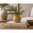 Mustard Seed Pot