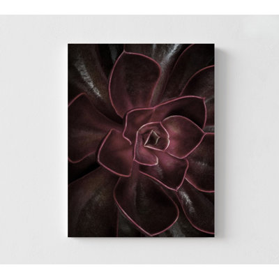 Red Flower Photo Bachelors Apartment Wall Art, Deep Red Floral Wife Room Decor, Nature Photography Sister New House Decor