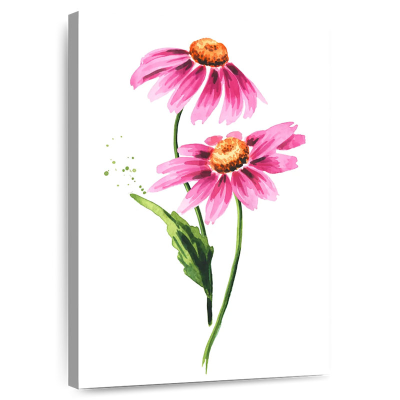 Echinacea Purpurea Flowers, 39" H x 26" W