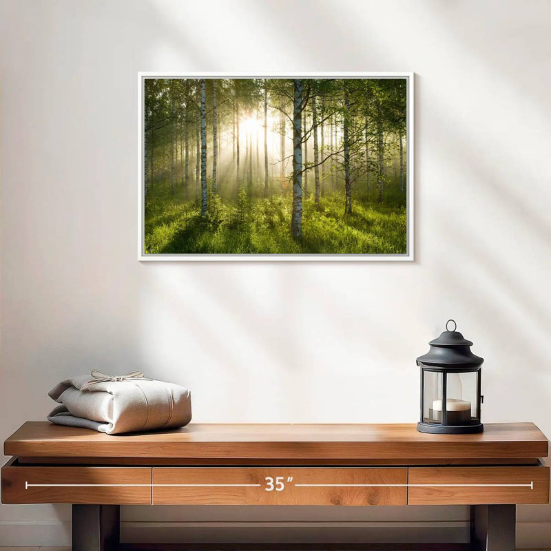 Birch Forest Sunlight, Cadre flottant blanc, 19 po x 13 po