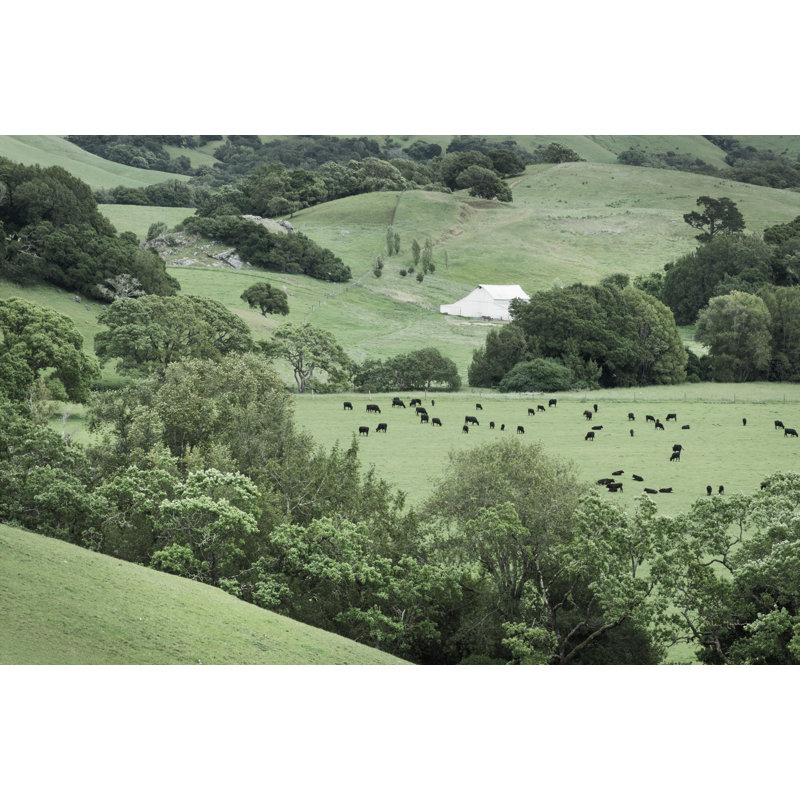 Marin California Ranch by Alan Majchrowicz - Photograph Print, 81cm H x 122cm W, Wrapped Canvas